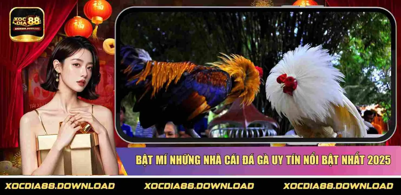 Bật mí những nhà cái đá gà uy tín nổi bật nhất 2025