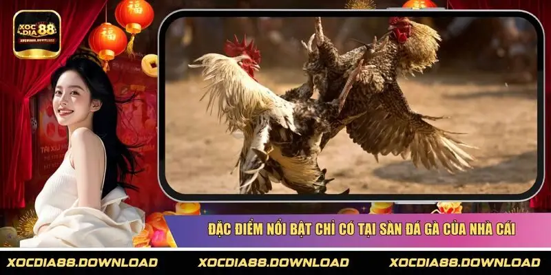 Đặc điểm nổi bật chỉ có tại sàn đá gà của nhà cái