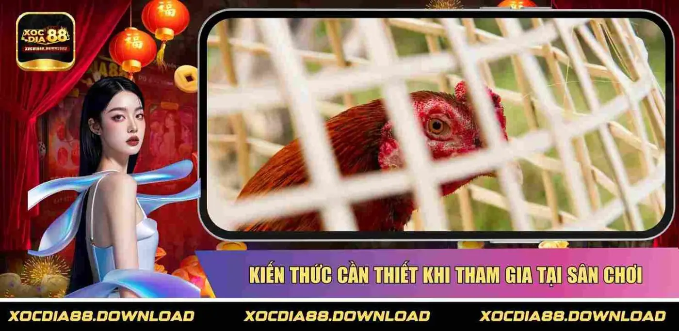 Kiến thức cần thiết khi tham gia tại sân chơi