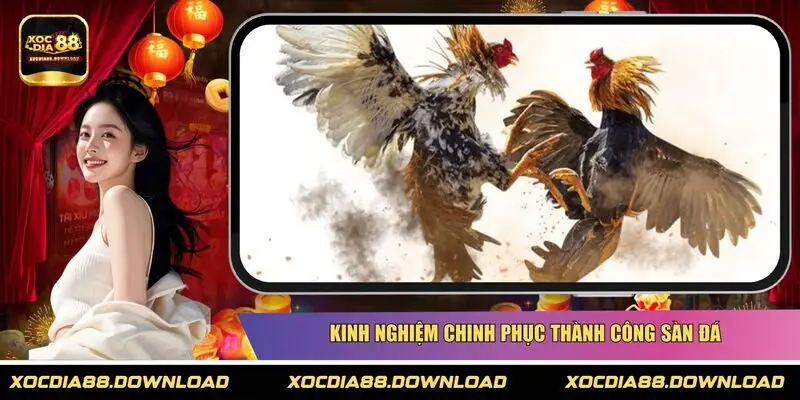 Kinh nghiệm chinh phục thành công sàn đá