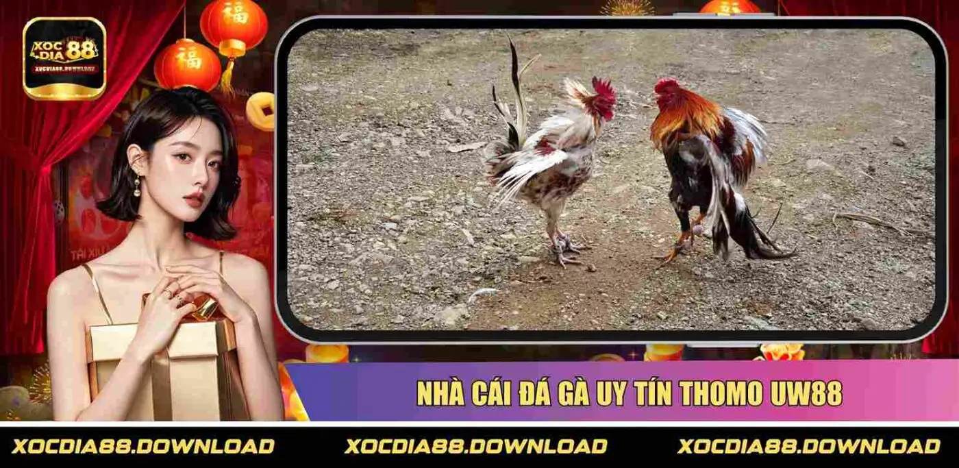 Nhà cái đá gà uy tín Thomo UW88