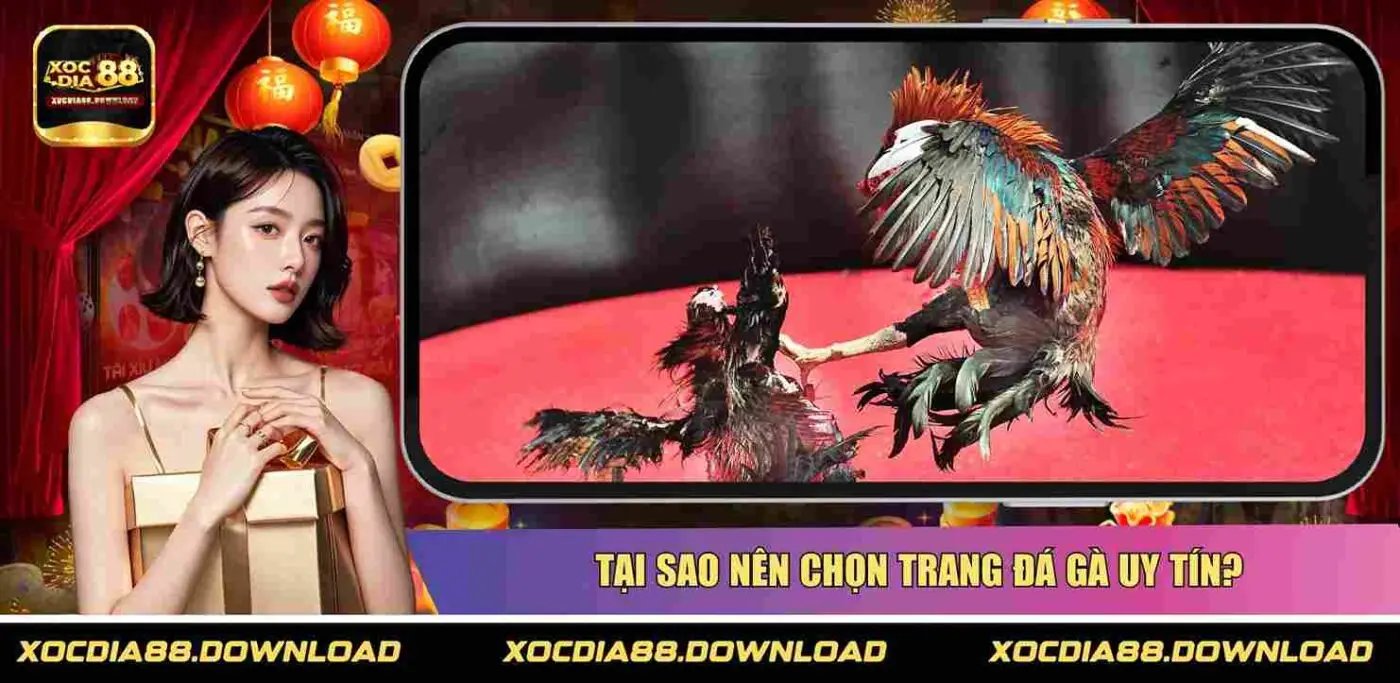 Tại sao nên chọn trang đá gà uy tín?