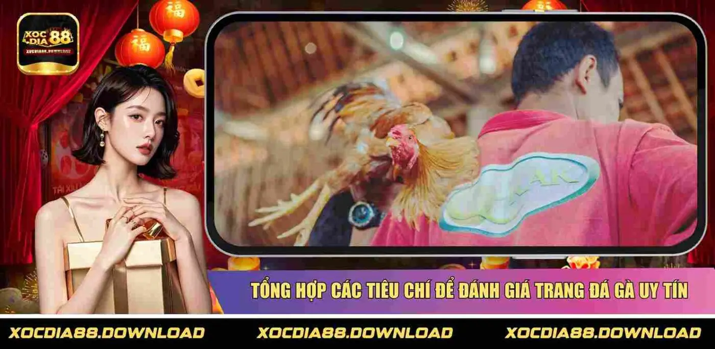 Tổng hợp các tiêu chí để đánh giá trang đá gà uy tín