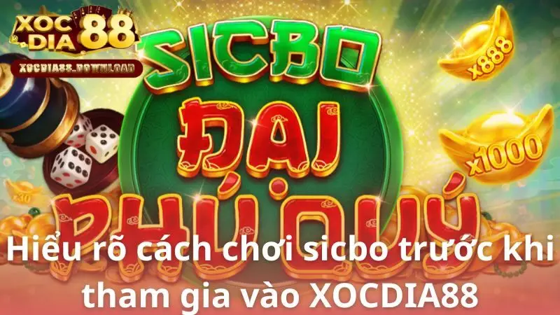 Hiểu rõ cách chơi sicbo trước khi tham gia vào XOCDIA88