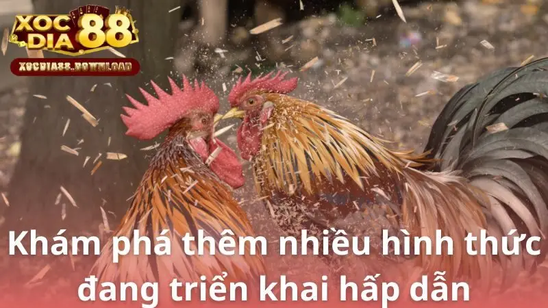 Khám phá thêm nhiều hình thức đang triển khai hấp dẫn