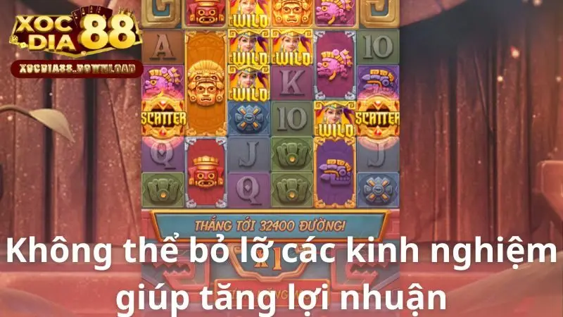Không thể bỏ lỡ các kinh nghiệm giúp tăng lợi nhuận