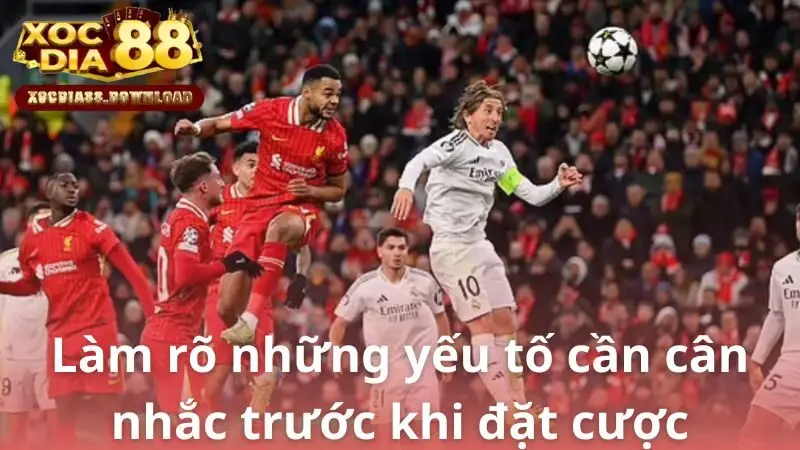 Làm rõ những yếu tố cần cân nhắc trước khi đặt cược