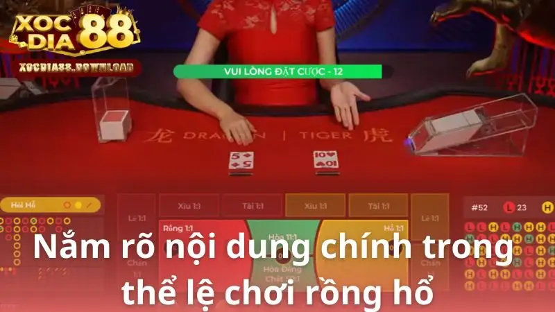 Nắm rõ nội dung chính trong thể lệ chơi rồng hổ